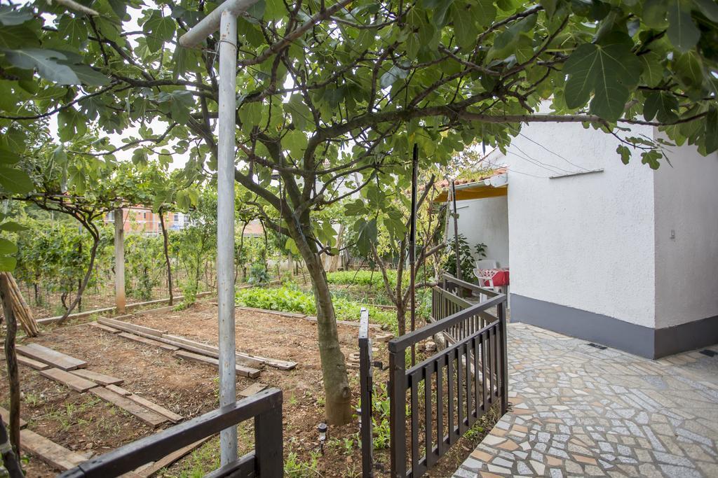 Apartments Pula 1618 Zewnętrze zdjęcie